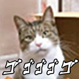 昭和の人と平成の猫 猫カフェ 猫園おてて