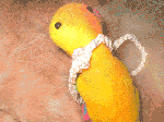 おかえり
