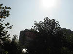 20091016.jpg