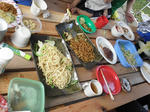 P5050801.jpg