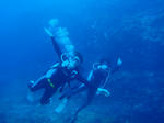 P5042666.jpg