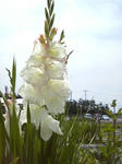 201006130958001.jpg