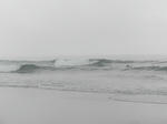 P7250971.jpg