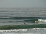 201008070958492da.jpg