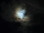 1290243164336.jpg