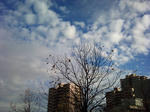 1290490198163.jpg