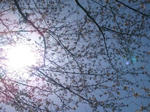 1302150942662.jpg