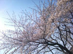 1302151047306.jpg