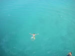 DSCF7373.JPG