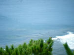 DSCF7400.JPG