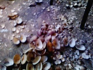 07-10-20_005.jpg