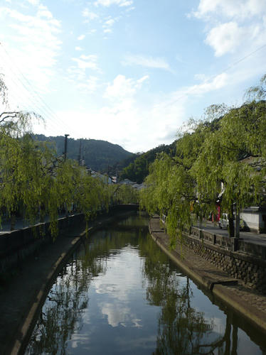 P1010494.jpg