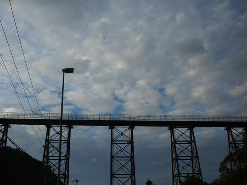 P1010634.jpg