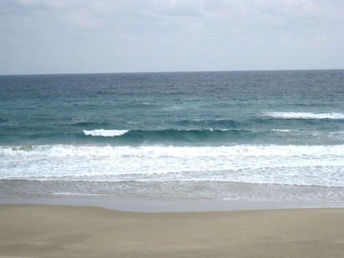f8dd3590.jpg