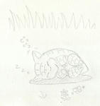 Scan10044.jpg