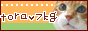 ｔｏｒａ★７ｋｇ