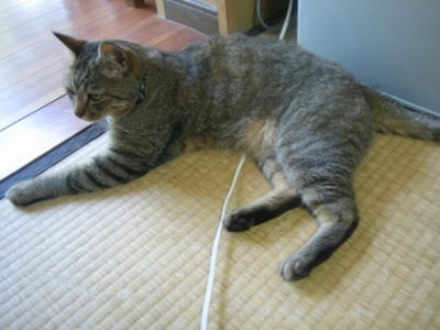 20071031-2.jpg