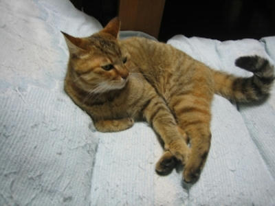 20071031.jpg