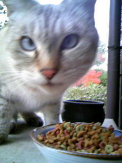 20071217-2.jpg