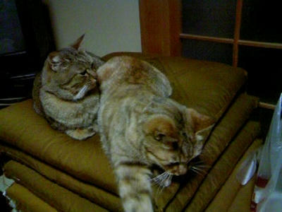 20080115-2.jpg