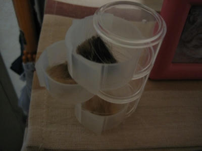 20080209-2.jpg