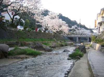 20080411.jpg
