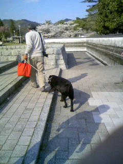 20080514-2.jpg