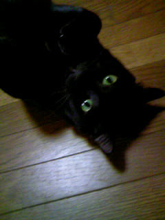 20081028.jpg