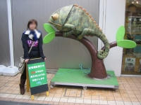 ueno.jpg