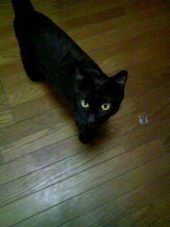 20081123.JPG