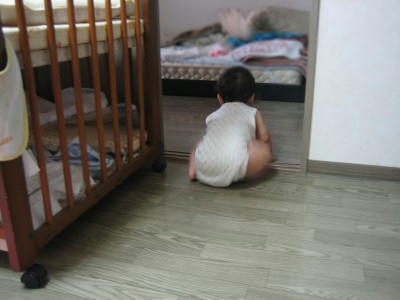 2010-0729.JPG
