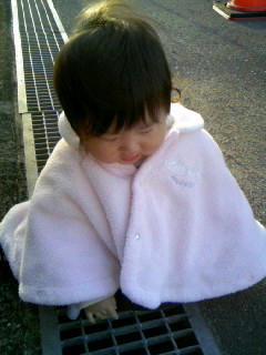 2010-1206.JPG