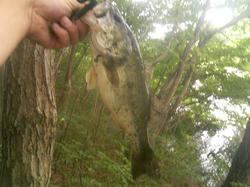 200707161358000.jpg