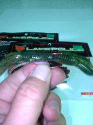7aaec979.JPG