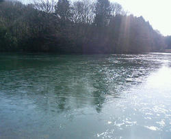 P1000120.JPG