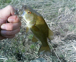 P1000117.JPG
