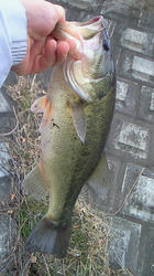 200802091206000.jpg