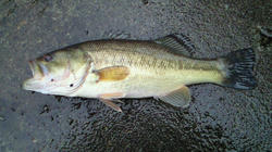 200802091651000.jpg