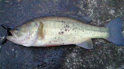200802091658001.jpg