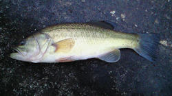 200802091710000.jpg