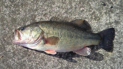 200802110939001.jpg
