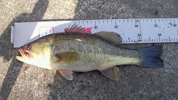 200802111052000.jpg