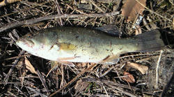200802111303000.jpg