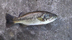 200802111332000.jpg