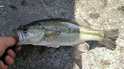 200802111443000.jpg