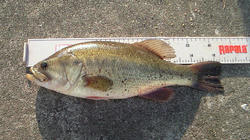 200802111551000.jpg