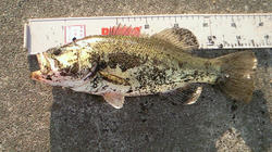200802111600000.jpg
