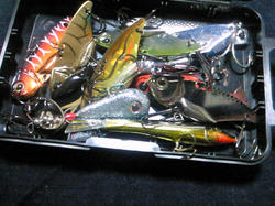 200802172224000.jpg