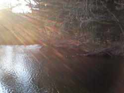 NEC_0012.JPG