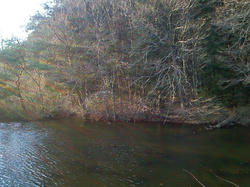 NEC_0010.JPG